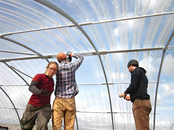 pc-wave-tiles-innovative-choice-for-high-performance-light-transmitting-building-materials-04.jpg pc-wave-tiles-innovative-choice-for-high-performance-light-transmitting-building-materials-04.jpg