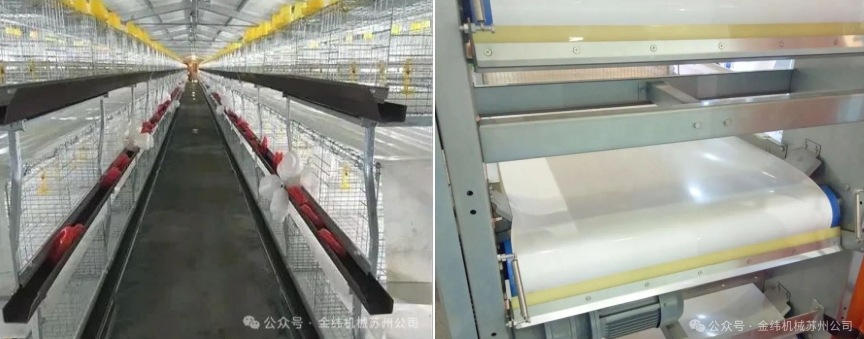 pp-breeding-dedicated-conveyor-beltproduction-line-an-efficient-manure-removal-tool-for-farms.jpg